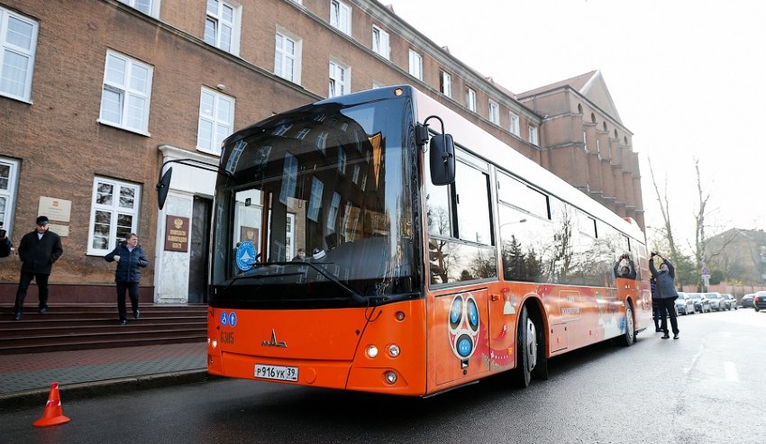 Калінінград брендує рейсові автобуси символікою ЧС 2018