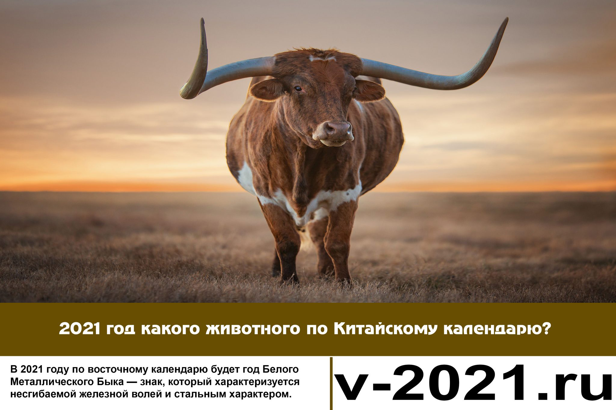 Что должно быть на столе на 2021 год на год быка