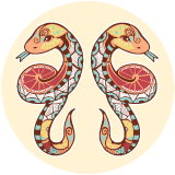 Східний гороскоп на 2022 рік: Змія